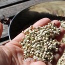 메밀명가 막국수 이미지