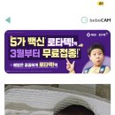 보꼬미 이미지
