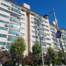 다인동물약국 이미지