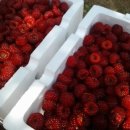 하당농장 이미지