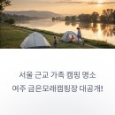 서울 근교 가족 캠핑장 추천: 여주 금은모래캠핑장 솔직 후기