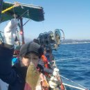 참새콘도민박 이미지