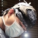 셀럽성형외과의원 이미지