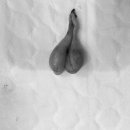 아마존동물병원 이미지