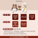 동인종합동물병원 이미지