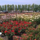 곡성-259 이미지