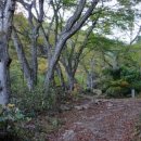 산촌펜션2