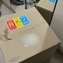 웨딩촬영 필수 소품 풍선꽃다발 구매 후기 (주북리 작업소)