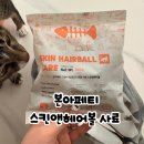 한국사료 | 고양이 설사 사료 선택 기준 총정리 본아페티 스킨앤헤어볼케어 키블 급여 후기