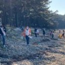 금일동초등학교 이미지