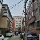 신사동-26 이미지