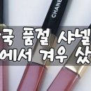 핑크비쥬 | 샤넬 신상 듀오립 무브, 댄스 & 루쥬 코코 글로스 비쥬 발색 후기