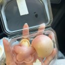 역삼1-113 | 반응 폭팔🔥✨했던 파워J 신부의 상견례 후기💖/고우가 강남 역삼 주차+라뜰리에 떡+결혼계획서까지...