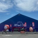 2025 여름 보령머드축제 다녀온 솔직후기｜보령 가볼만한곳 입장권·체험존·준비물·주차 팁