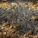 중하농장 이미지