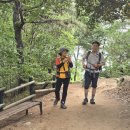 인천 청량산의 발견!!(7월 5일) 이미지