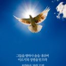 구원의 기쁜소식 982 이미지