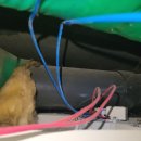 수유역 화장실 이미지