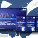 에스에이치코퍼레이션 이미지