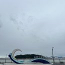 진광농장 | 청춘조개/영종팰리스/영종관광어시장/바다곳간/인터내셔널호텔/바다앞농장/자연도/달임빵/독도왕새우튀김