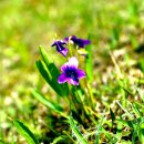 시대공원 이미지