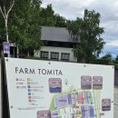 메인팜 | 팜토미타 7월 후기 언제든 방문 가능하니 이왕이면 일찍 Farm Tomita