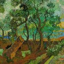 동물의왕국 동물병원 이미지