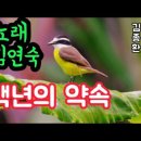 노래 김연숙 ♡ 백년의 약속 이미지