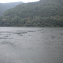수산리-18 Daum카페