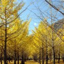 은행약수터 이미지