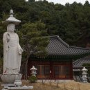 치수농장 네이버블로그