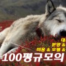 백설 애견샵 이미지