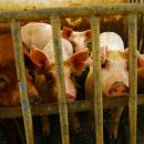 북산농장 이미지