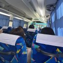 애니탑투어 | 오사카 자유여행 3일차 | 교토 1일 버스투어 내돈내산| 유투어버스투어 | 프로사진작가 촬영 옵션 후기