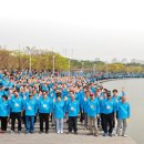 평화로운세상 이미지