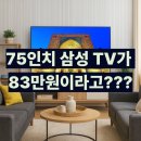 상업용 75 | LH75BEFHLGFXKR 삼성 75인치 비즈니스 TV 후기 최저가 단점은?