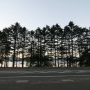 도야주유소 이미지