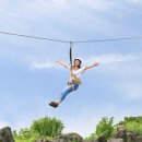 제주랜드 이미지