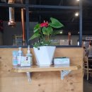 메란명가 이미지