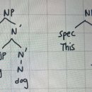 교수님 N’substitution 질문 있습니다! 이미지