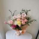 엠에스스튜디오 이미지