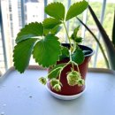 예주농장 이미지