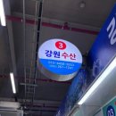 [울산 회포장 추천] 울산 수암회센터 강원수산 수암회수산시장점 대만족 후기