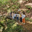 이루숲어린이집 이미지