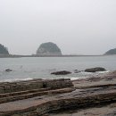 힛도횟집 이미지