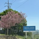 경기도 이천) 동원리더스 아카데미 워크샵 추천(세미나, 체육, 룸 후기)