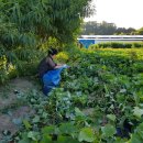 삼포경로당 이미지