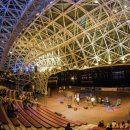 호수와 소나무 이미지