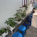 평창메밀막국수 - 청주시 서원구 두꺼비로38번길 6 | 평창메밀막국수