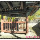 번암죽림정사로 이미지